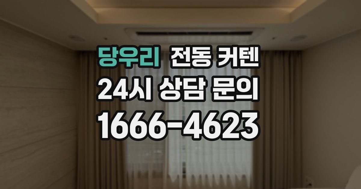 당우리 전동 커텐