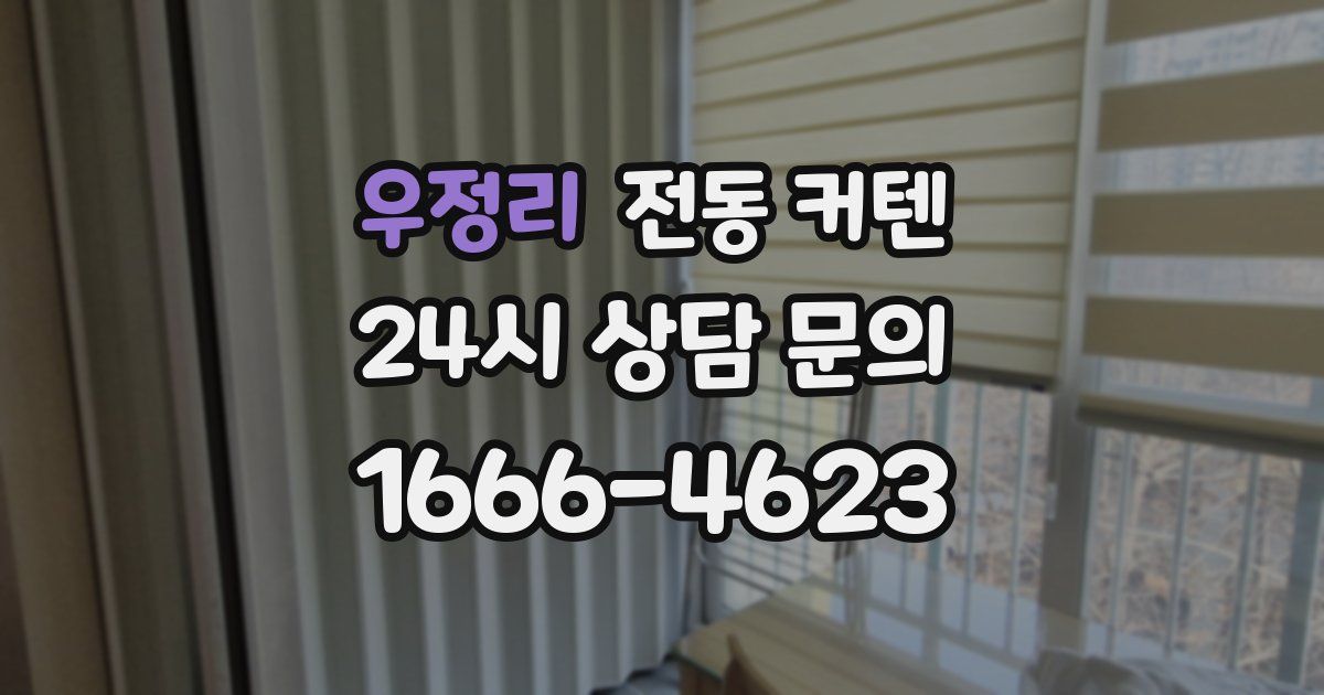 우정리 전동 커텐