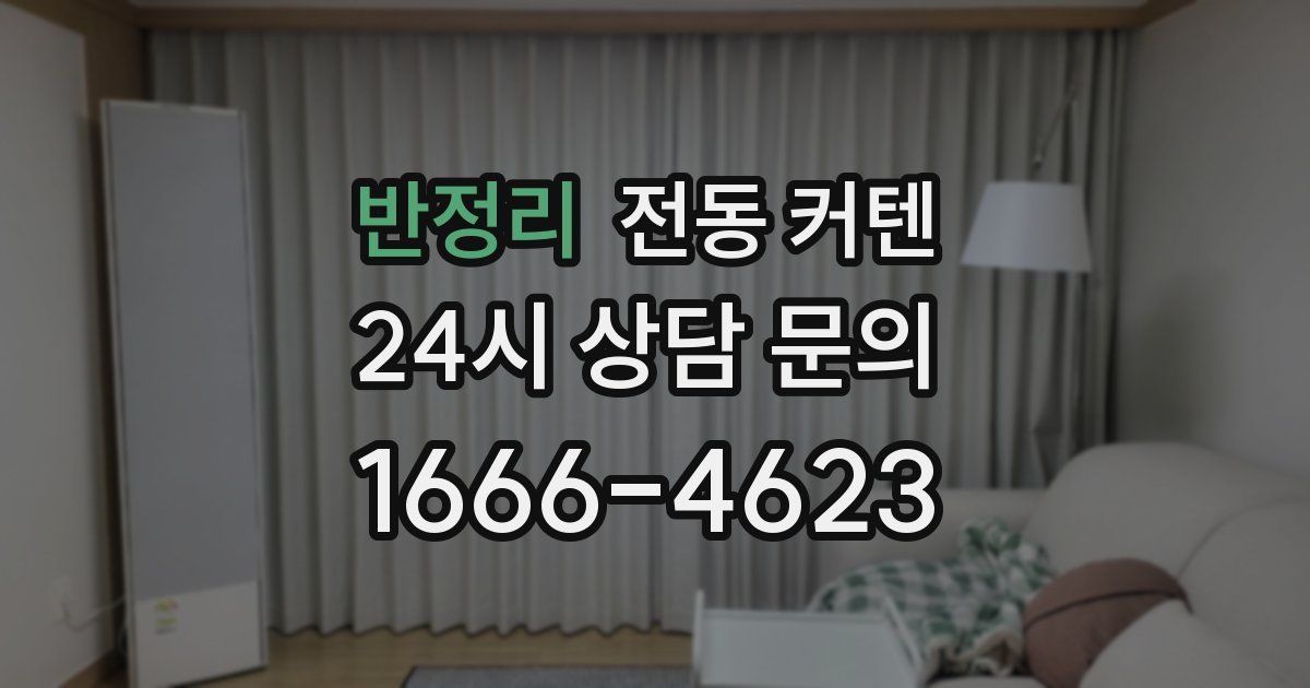 반정리 전동 커텐