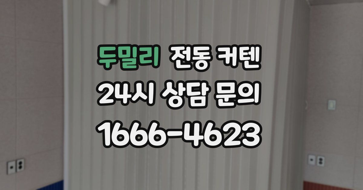 두밀리 전동 커텐