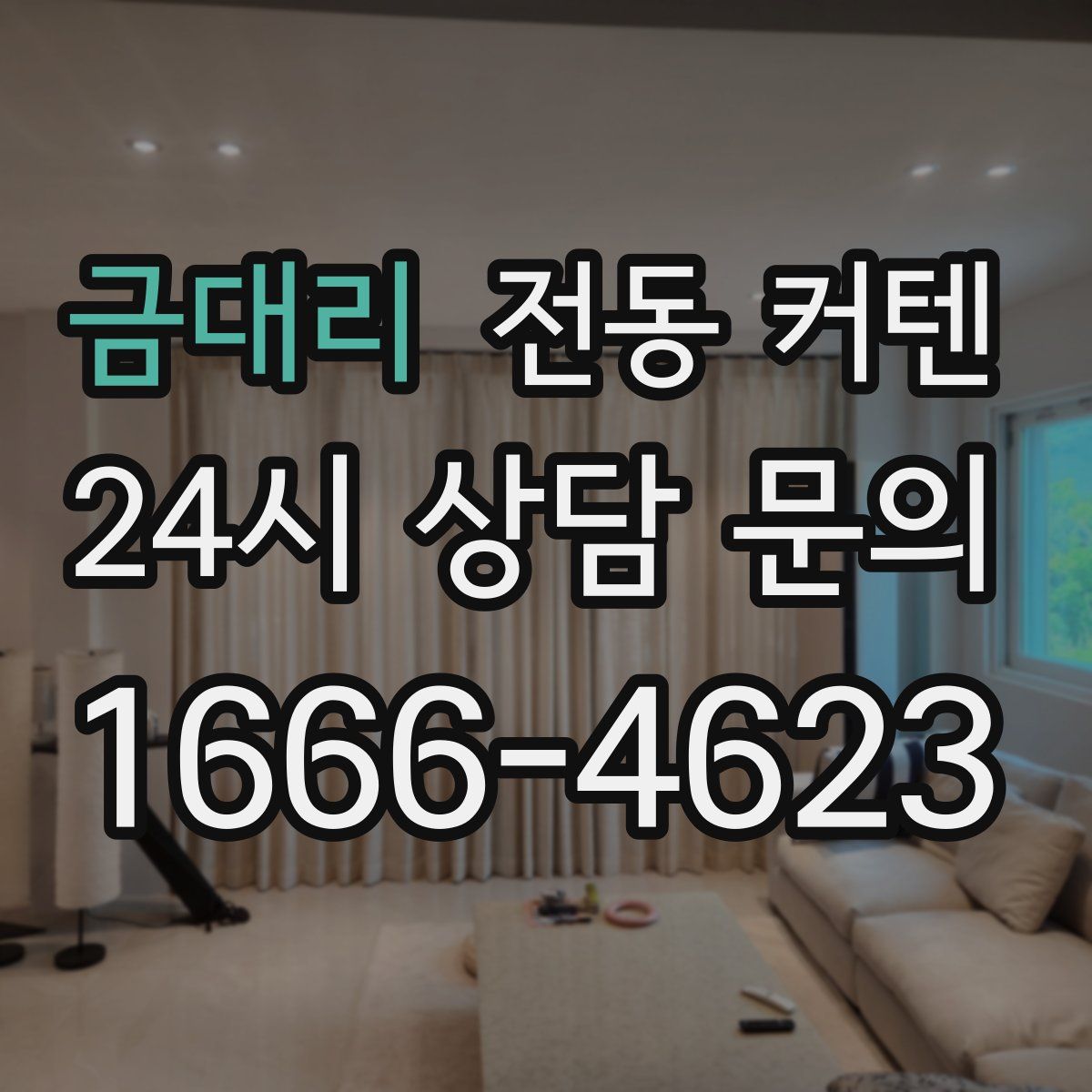 금대리 전동 커텐