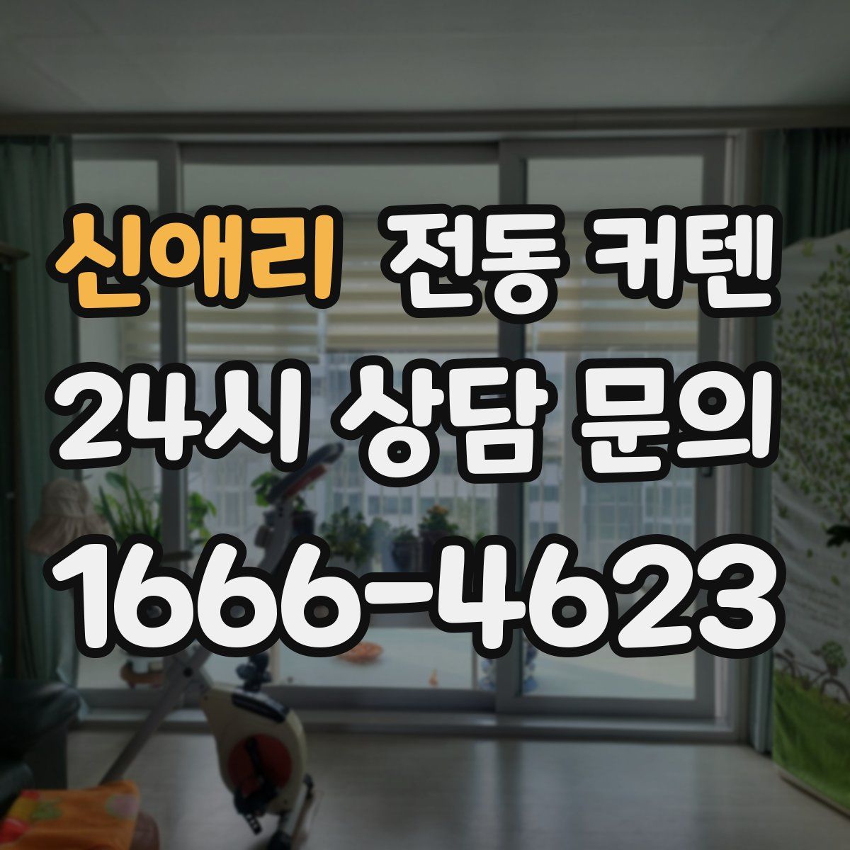 신애리 전동 커텐