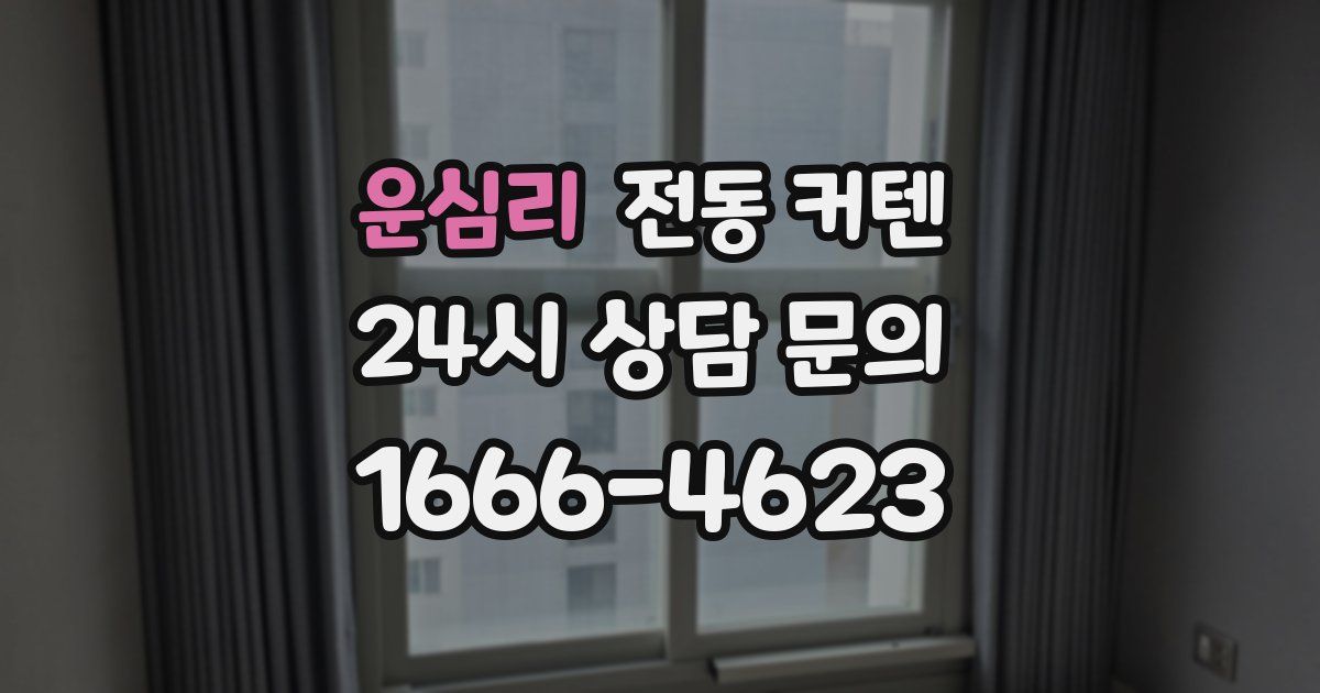 운심리 전동 커텐