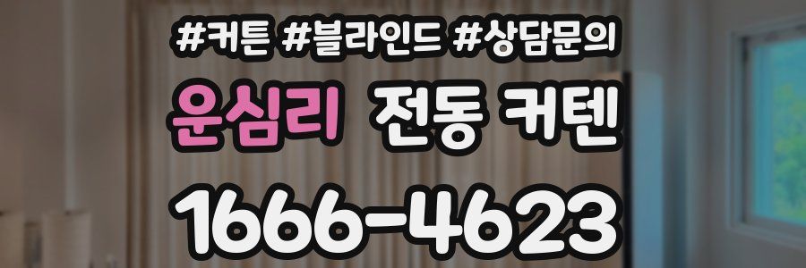 운심리 전동 커텐
