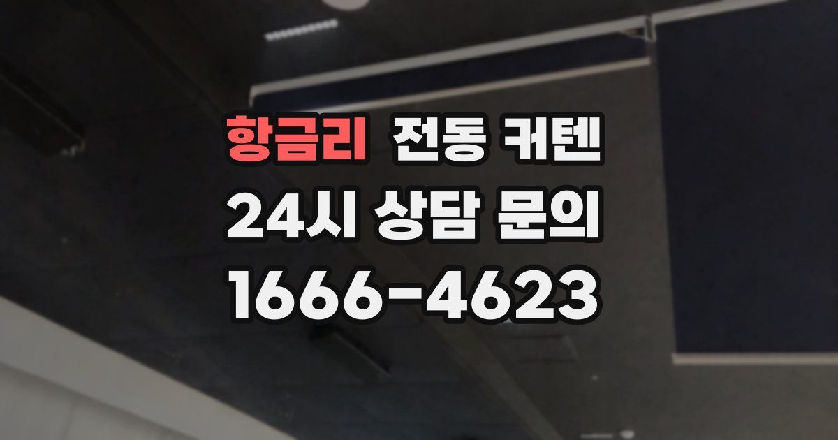 항금리 전동 커텐