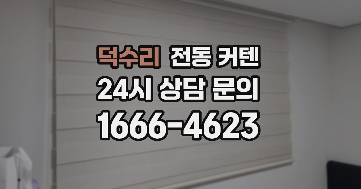 덕수리 전동 커텐