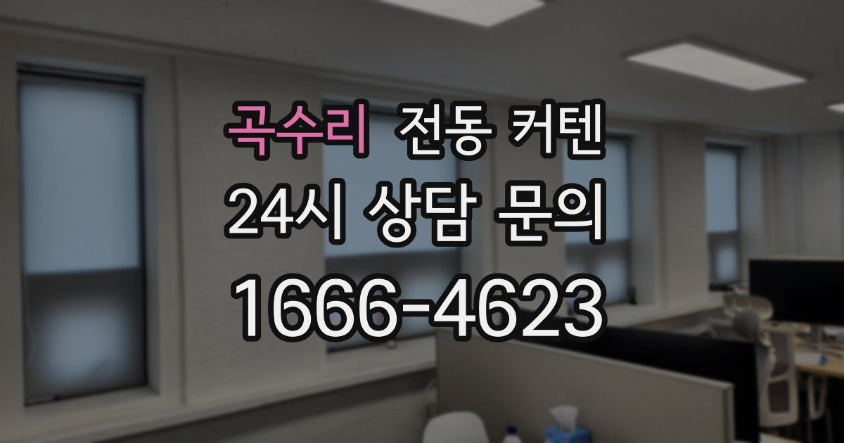 곡수리 전동 커텐