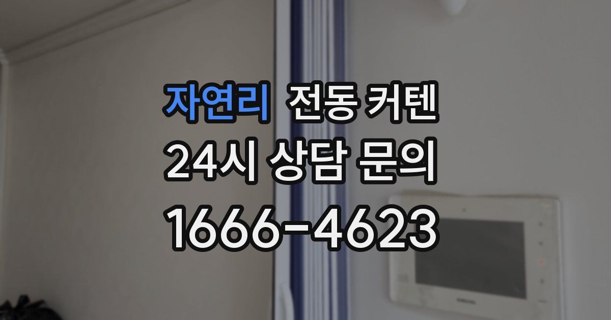 자연리 전동 커텐