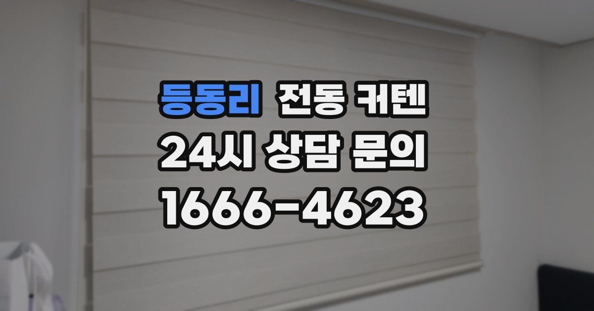 등동리 전동 커텐