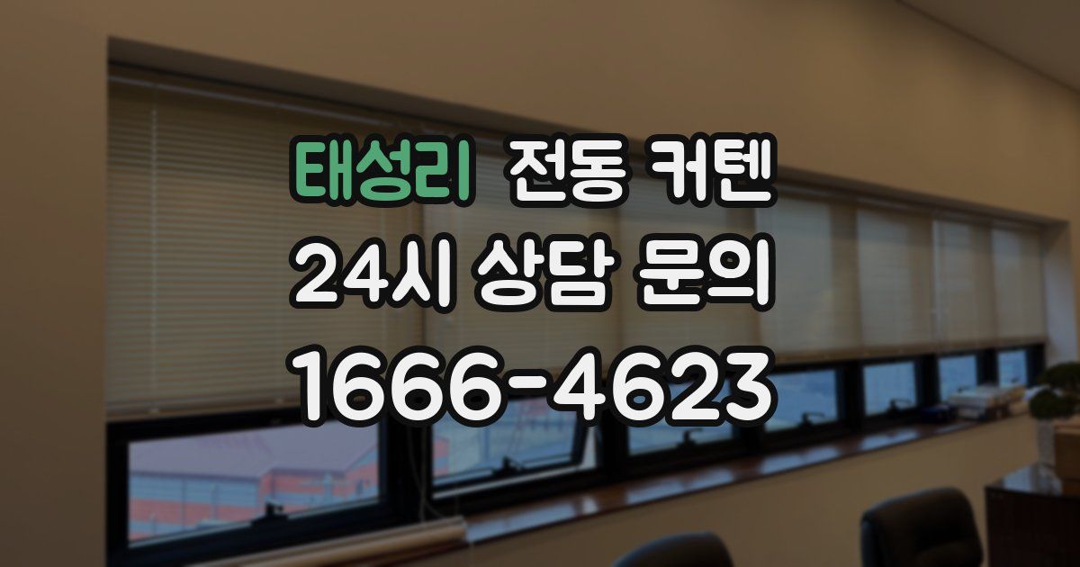태성리 전동 커텐