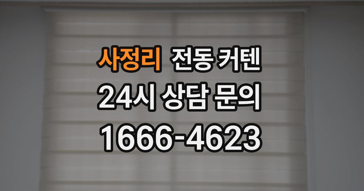 사정리 전동 커텐