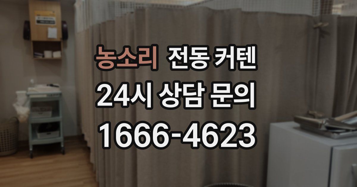 농소리 전동 커텐