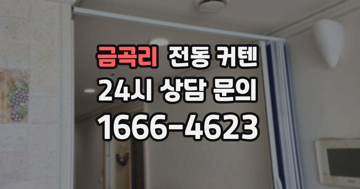 금곡리 전동 커텐