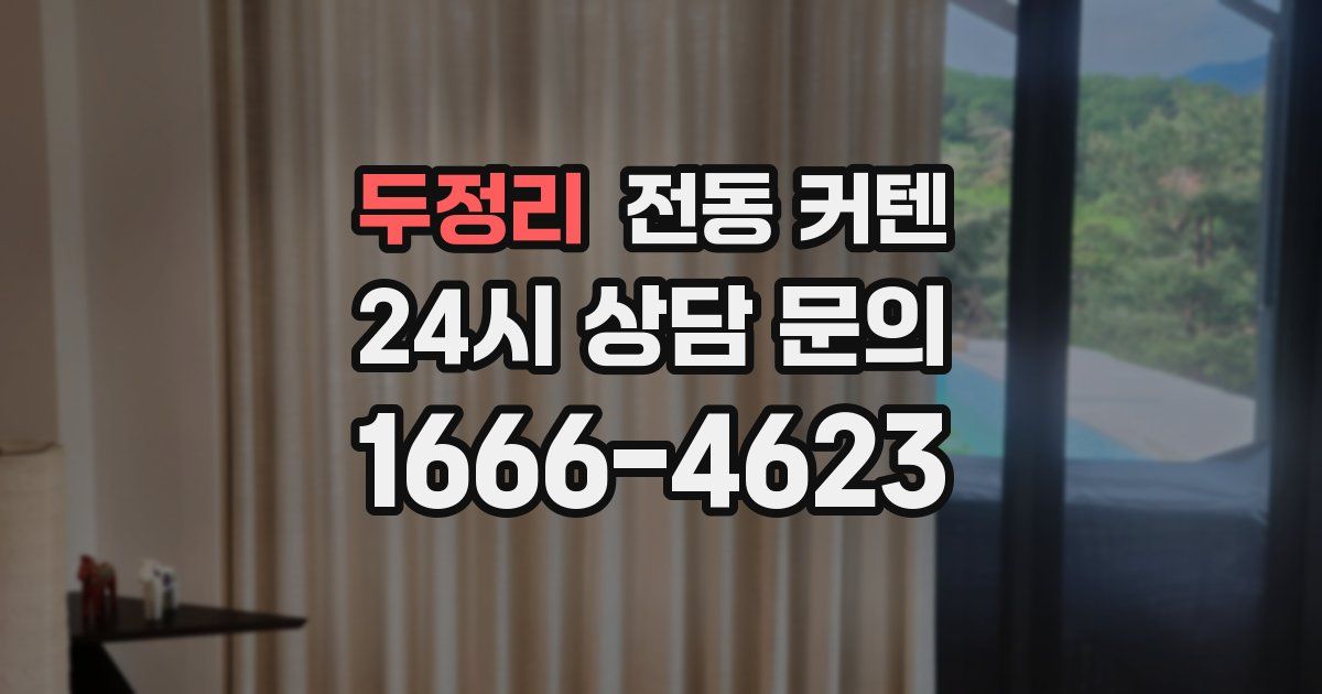 두정리 전동 커텐