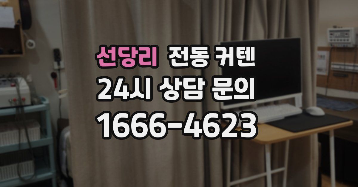 선당리 전동 커텐
