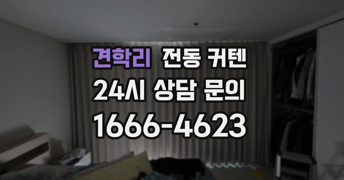 견학리 전동 커텐