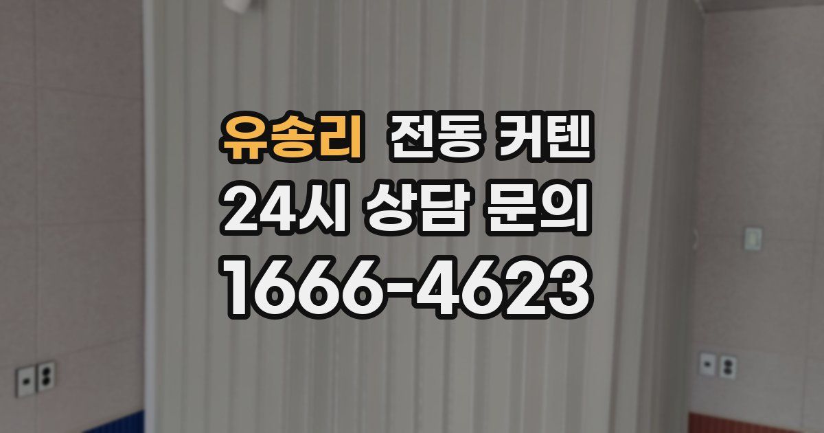 유송리 전동 커텐