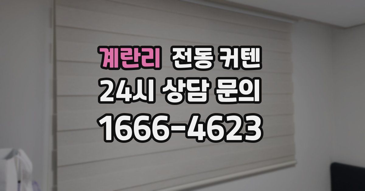 계란리 전동 커텐