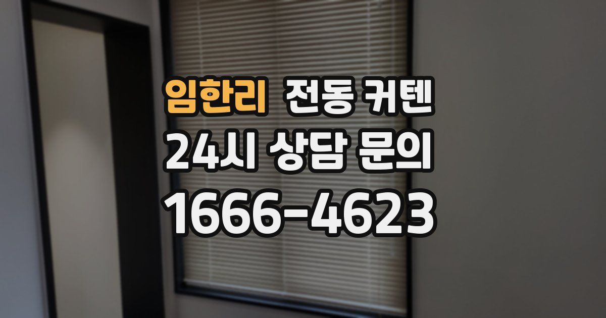 임한리 전동 커텐