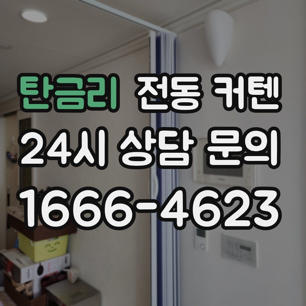 탄금리 전동 커텐