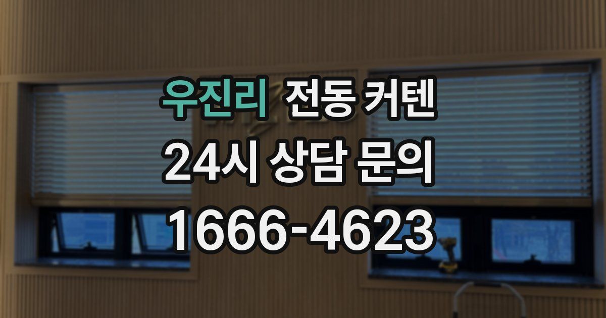 우진리 전동 커텐