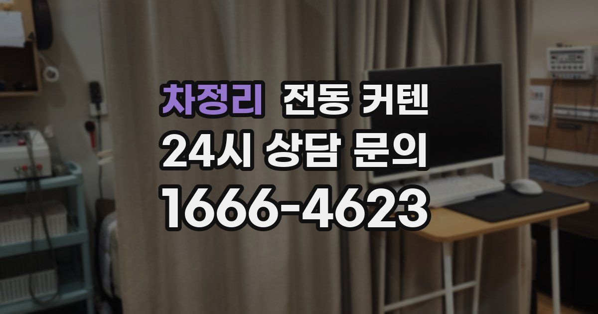 차정리 전동 커텐