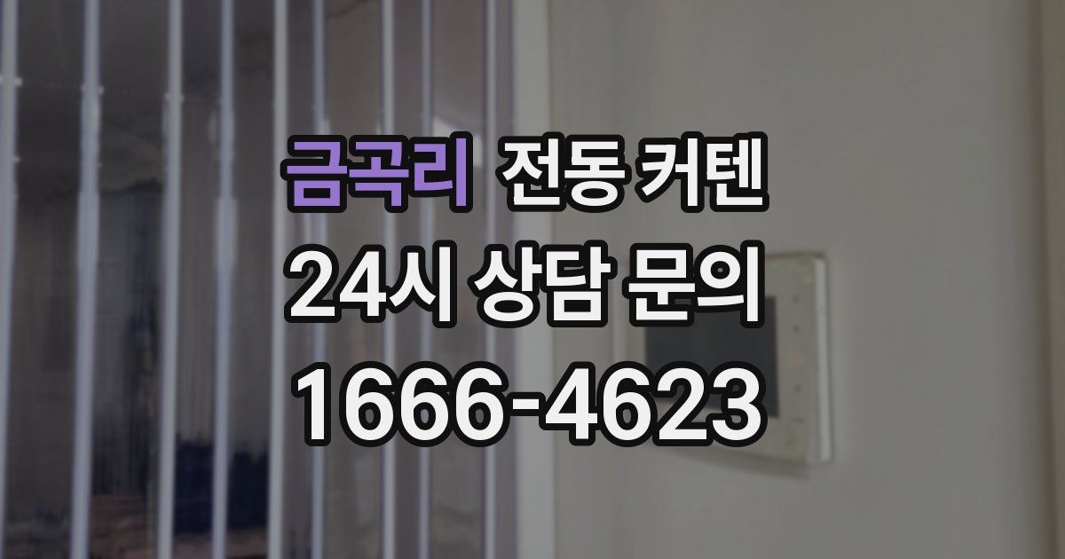 금곡리 전동 커텐