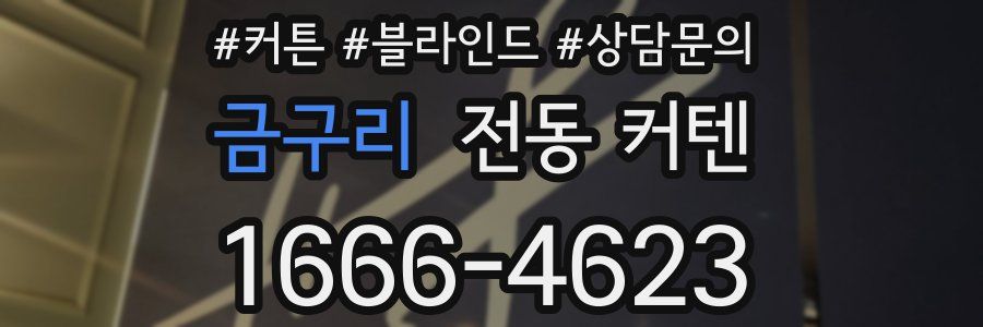 금구리 전동 커텐