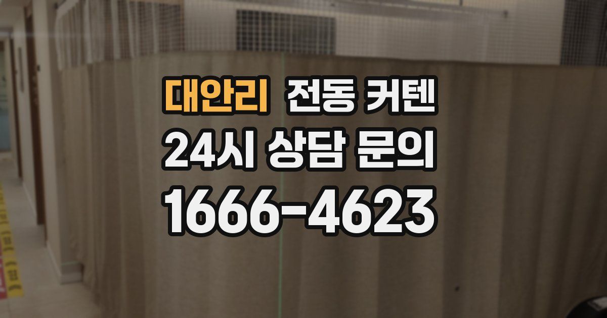 대안리 전동 커텐