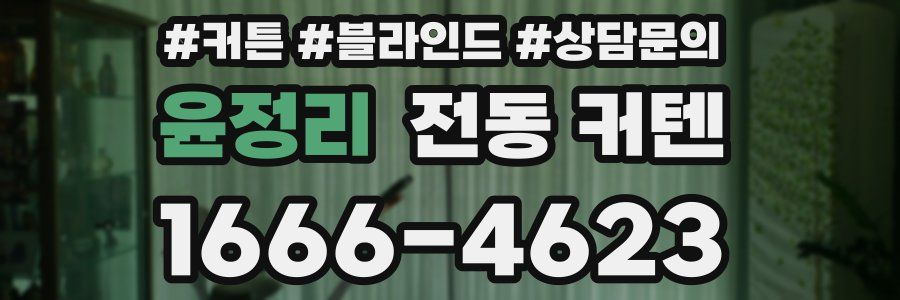 윤정리 전동 커텐