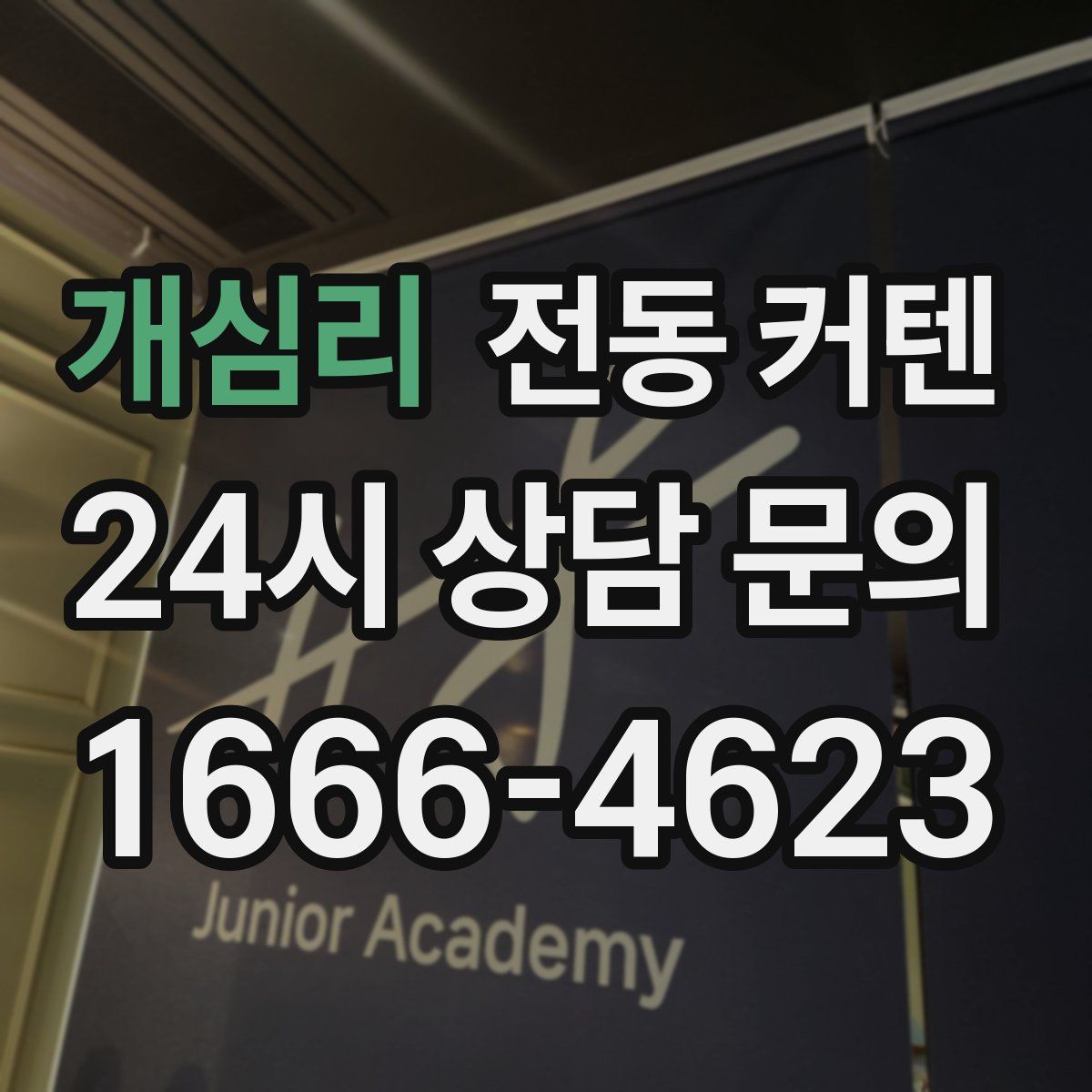 개심리 전동 커텐