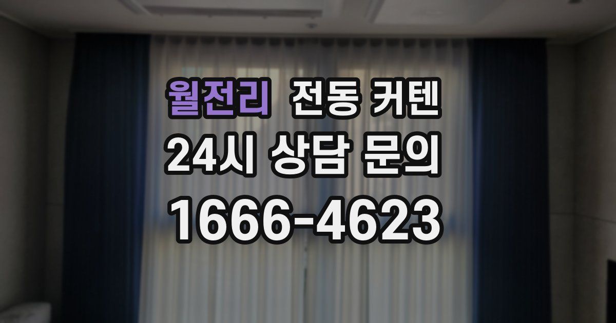 월전리 전동 커텐