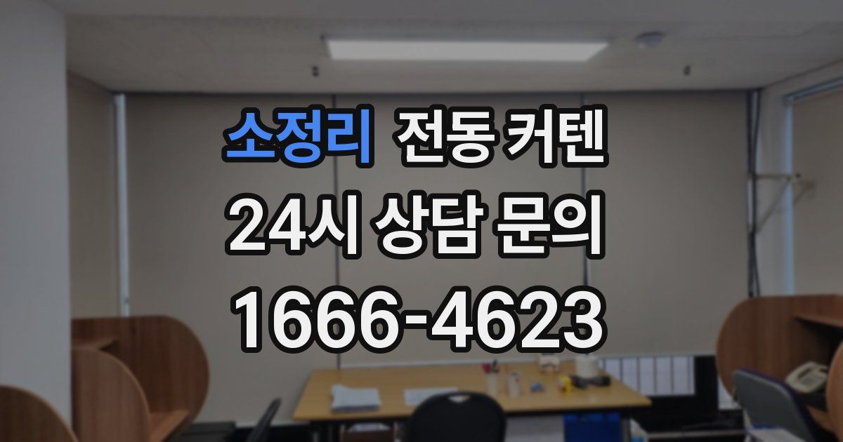 소정리 전동 커텐