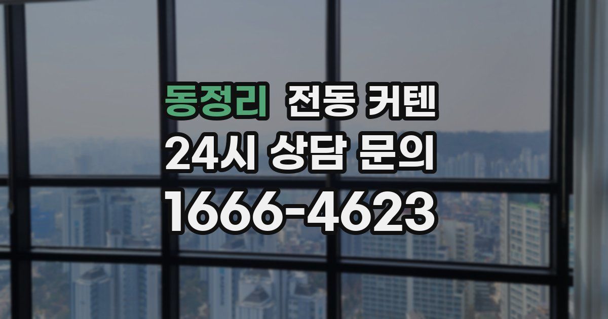 동정리 전동 커텐