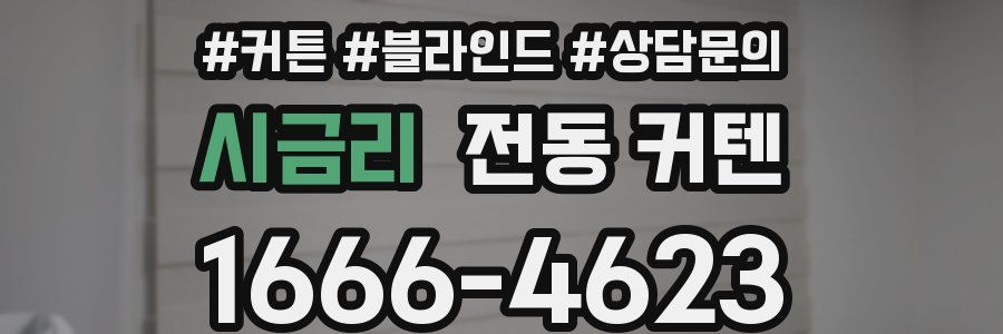 시금리 전동 커텐