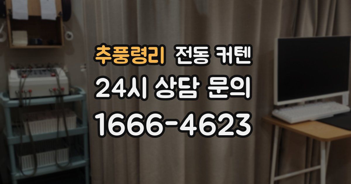 추풍령리 전동 커텐