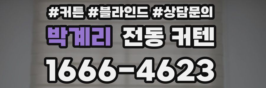 박계리 전동 커텐