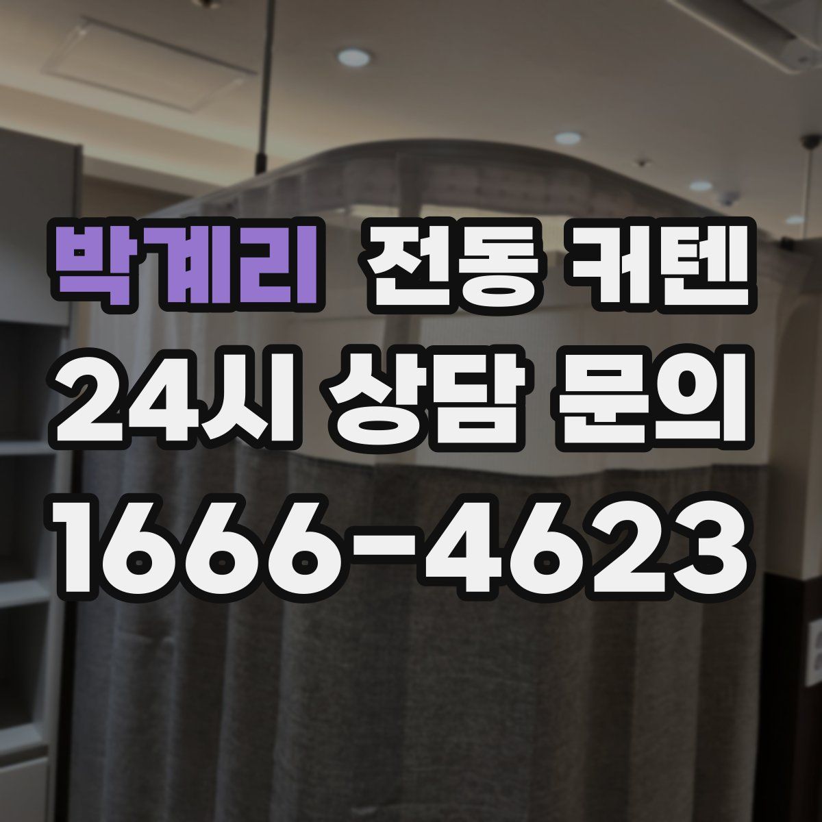 박계리 전동 커텐