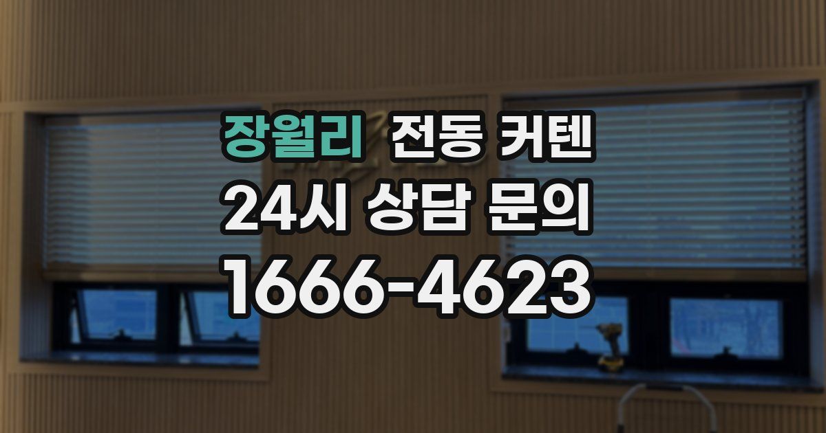 장월리 전동 커텐
