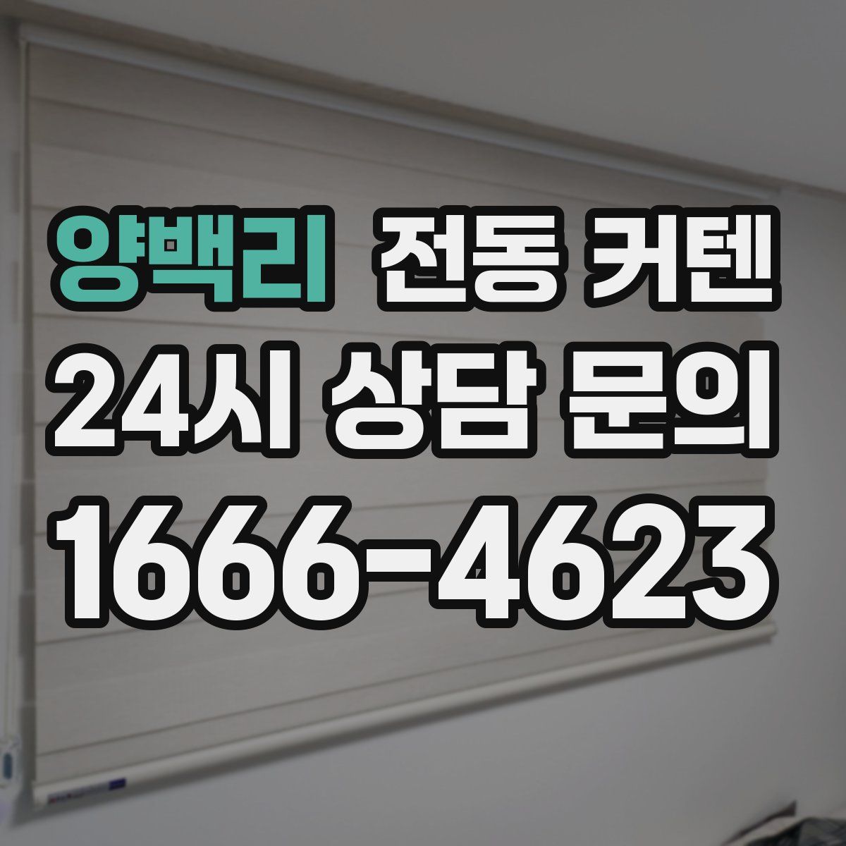 양백리 전동 커텐