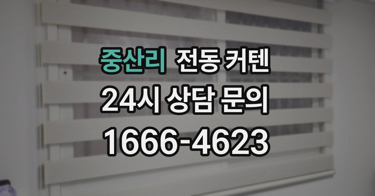 중산리 전동 커텐