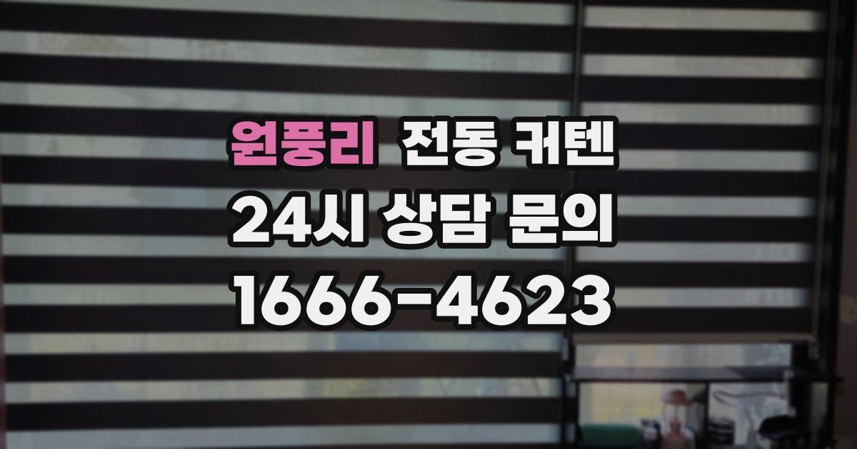 원풍리 전동 커텐