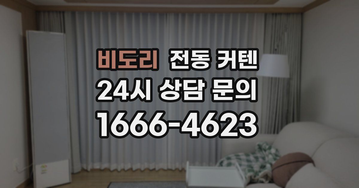 비도리 전동 커텐