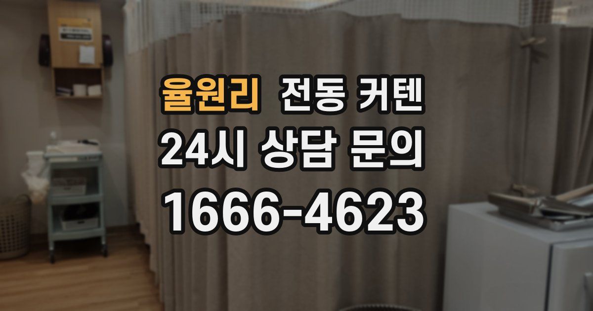 율원리 전동 커텐