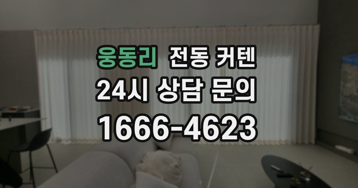 웅동리 전동 커텐