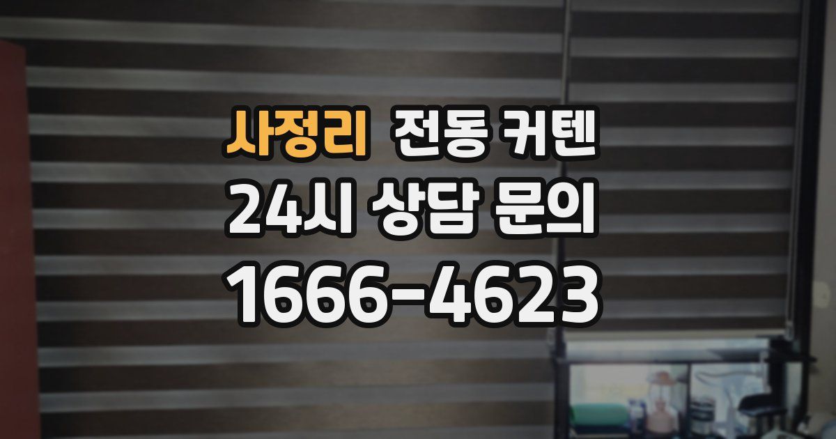 사정리 전동 커텐