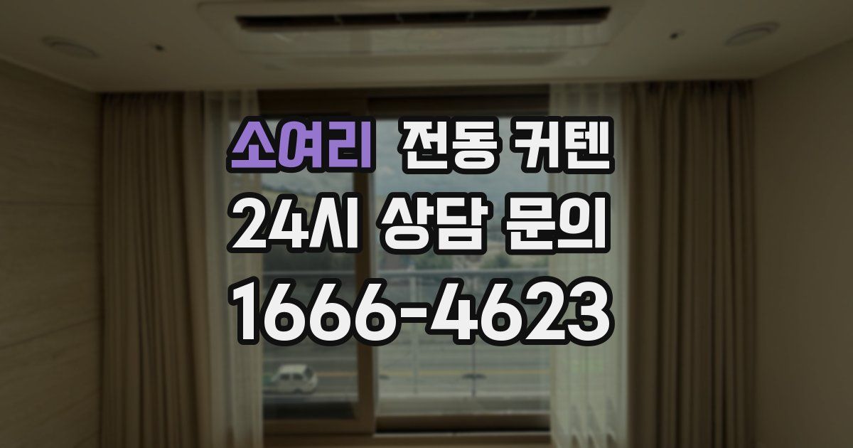 소여리 전동 커텐