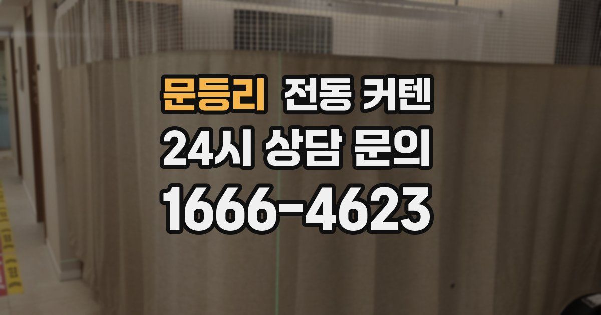 문등리 전동 커텐