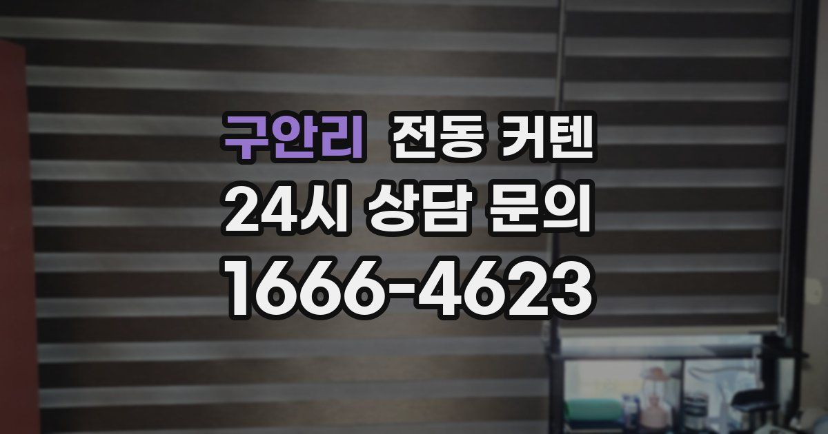 구안리 전동 커텐