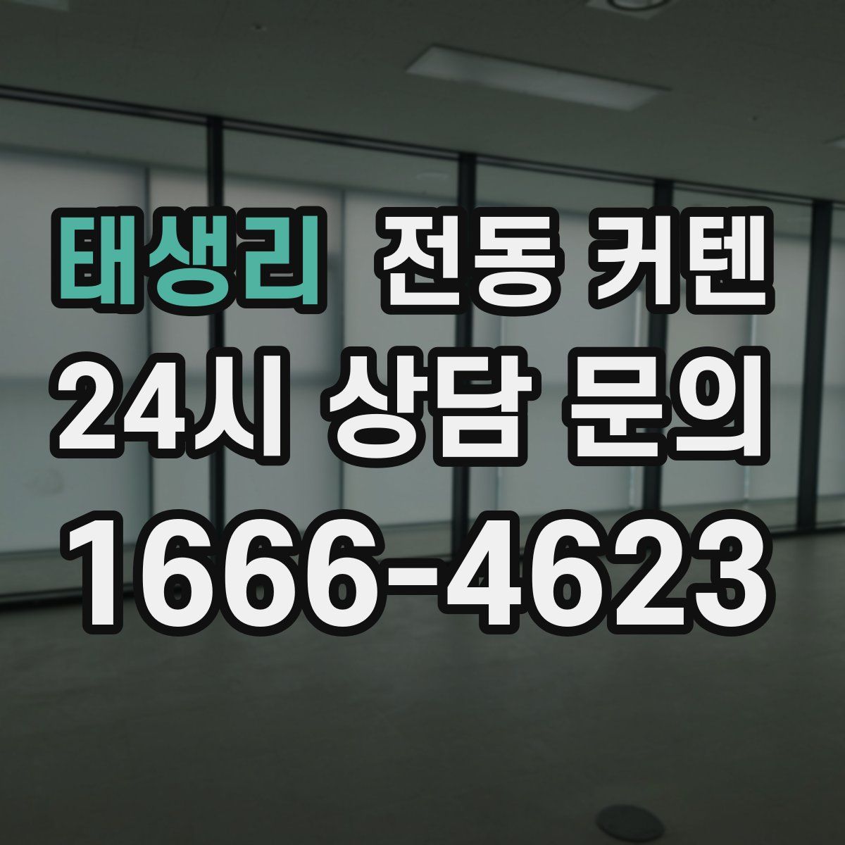 태생리 전동 커텐
